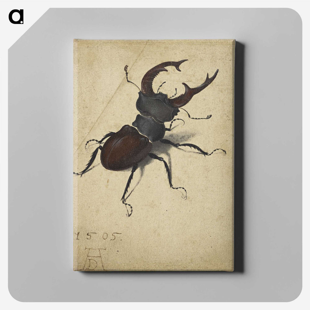 1-29_Albrecht-Durer_canvas
