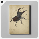 1-29_Albrecht-Durer_canvas