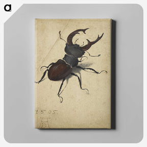 1-29_Albrecht-Durer_canvas