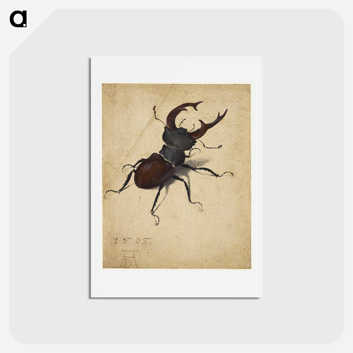 アートポストカード-Albrecht Dürer's Stag Beetle - アルブレヒト デューラー Postcard.