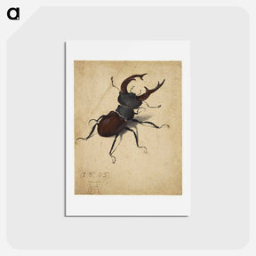 アートポストカード-Albrecht Dürer's Stag Beetle - アルブレヒト デューラー Postcard.