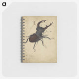 1-29_Albrecht-Durer_memo