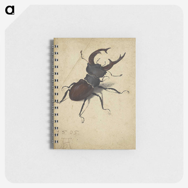 1-29_Albrecht-Durer_memo