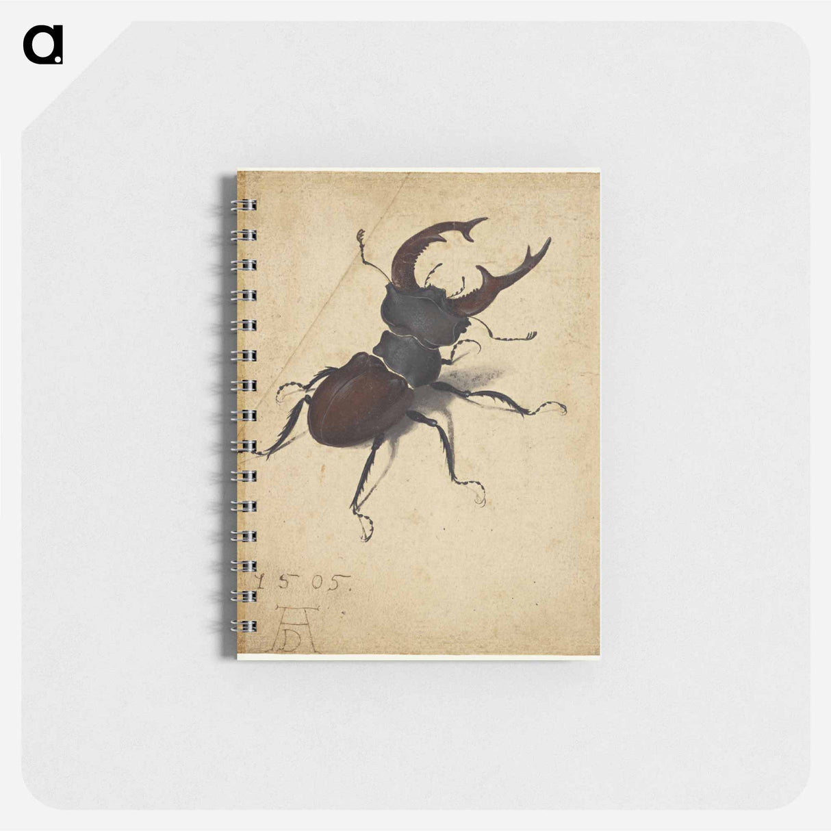 Albrecht Dürer's Stag Beetle - アルブレヒト デューラー Memo.