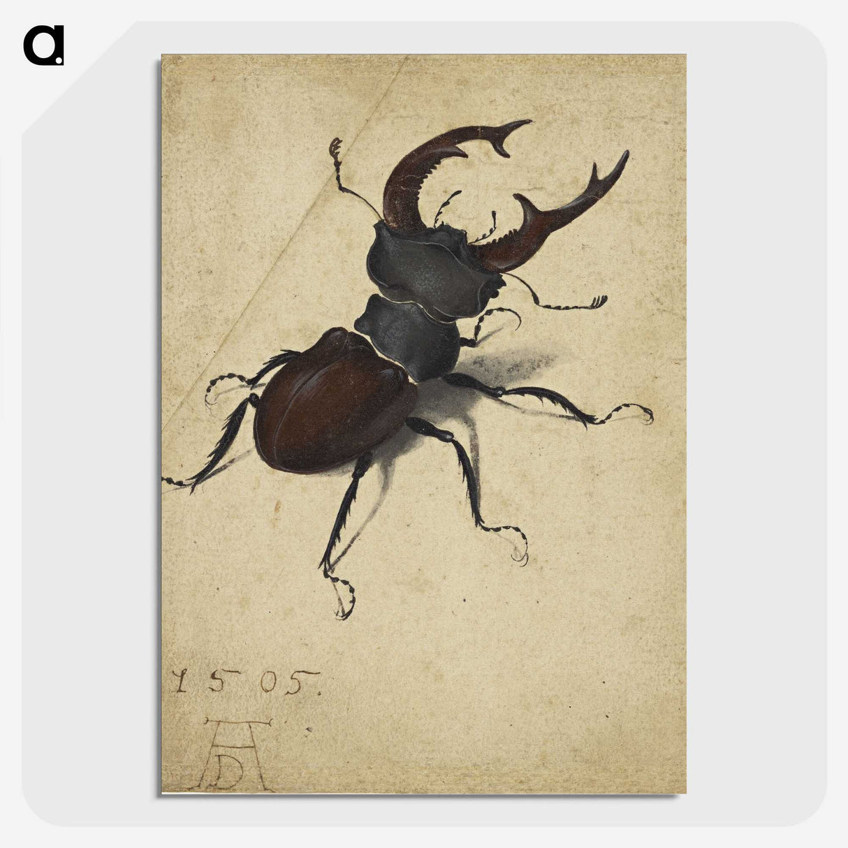 1-29_Albrecht-Durer_picture-crop