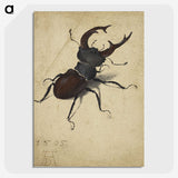 1-29_Albrecht-Durer_picture-crop