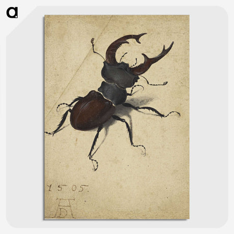 1-29_Albrecht-Durer_picture-crop