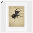 1-29_Albrecht-Durer_picture