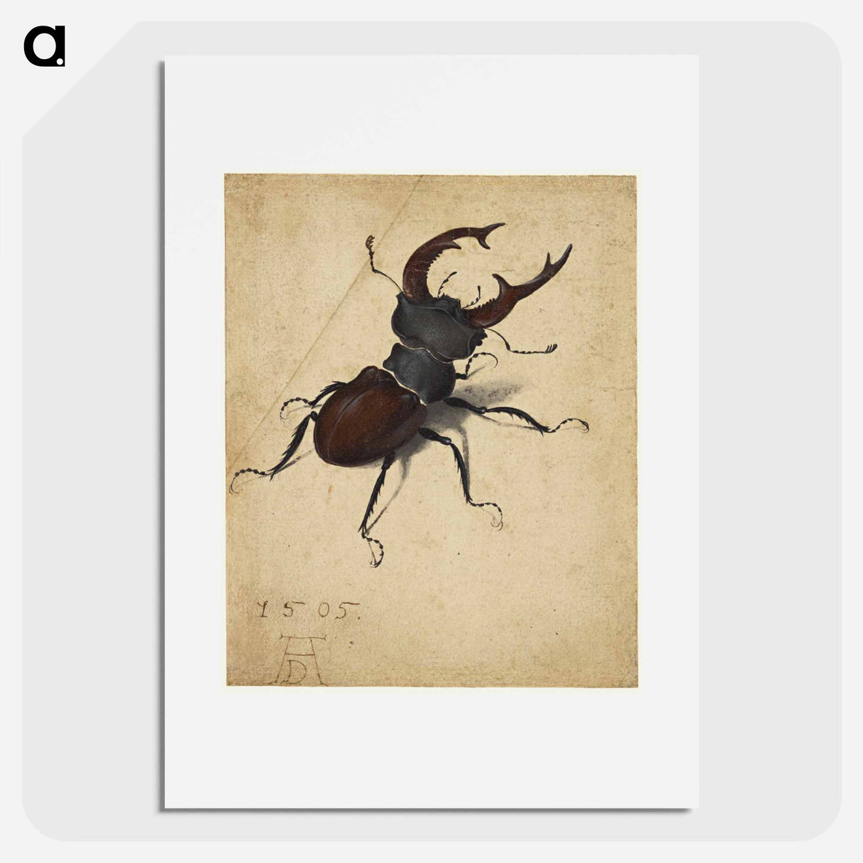 Albrecht Dürer's Stag Beetle - アルブレヒト デューラー Poster.