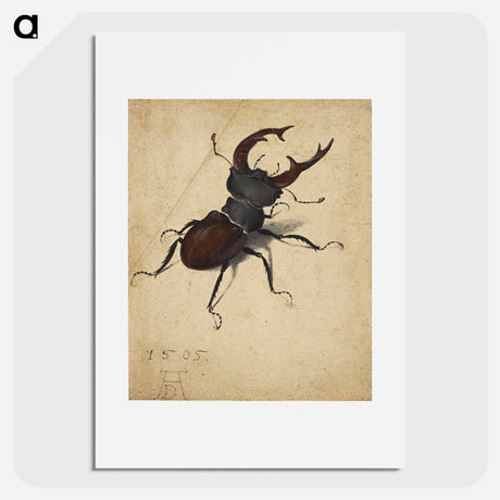 アートポスター-Albrecht Dürer's Stag Beetle - アルブレヒト デューラー Poster.
