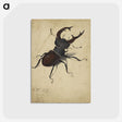 1-29_Albrecht-Durer_postcard