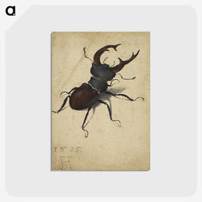1-29_Albrecht-Durer_postcard
