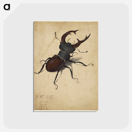 アートポストカード-Albrecht Dürer's Stag Beetle - アルブレヒト デューラー Postcard.
