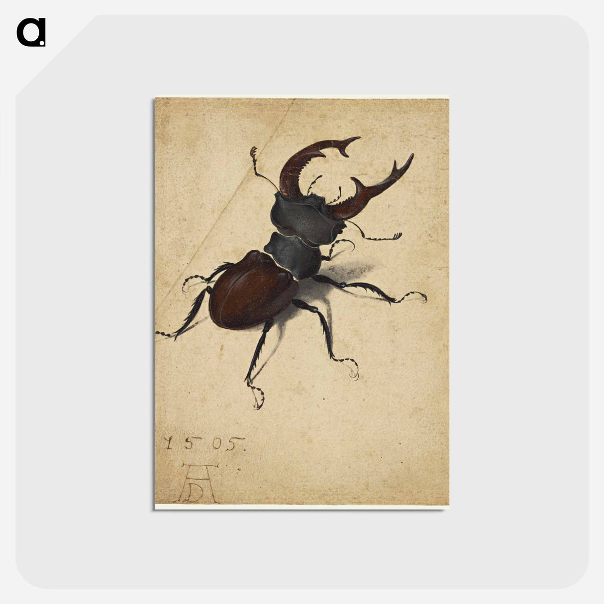 Albrecht Dürer's Stag Beetle - アルブレヒト デューラー Postcard.