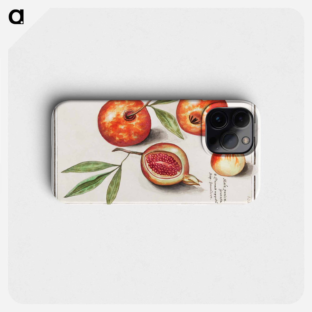 Pomegranate - アンセルムス ボエティウス デ ブート Phone Case.