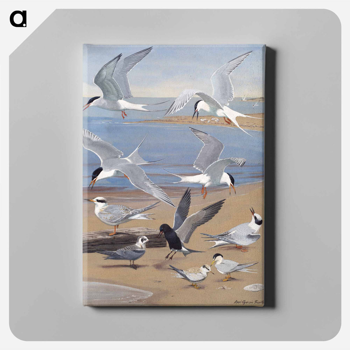 アートパネル-Terns
 - ボストン公共図書館 Canvas.