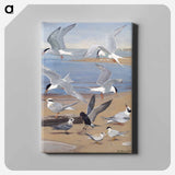 アートパネル-Terns
 - ボストン公共図書館 Canvas.
