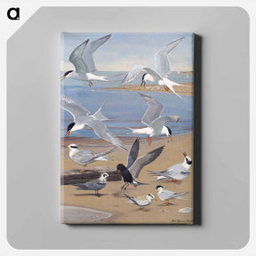アートパネル-Terns
 - ボストン公共図書館 Canvas.