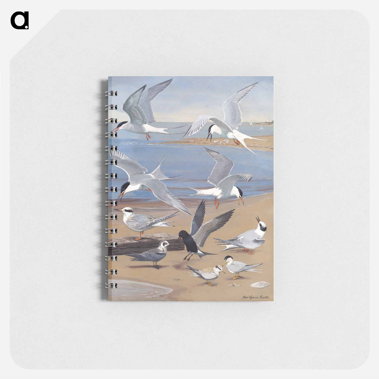 アートメモ帳-Terns
 - ボストン公共図書館 Memo.