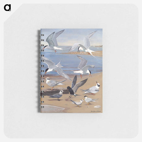 アートメモ帳-Terns
 - ボストン公共図書館 Memo.