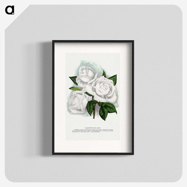 1-29_Botanical-Specimen-Plates_blk