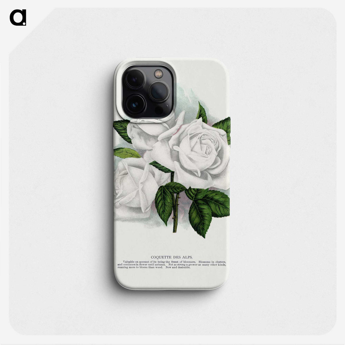 1-29_Botanical-Specimen-Plates_phone