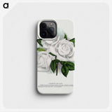 1-29_Botanical-Specimen-Plates_phone