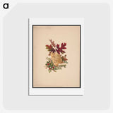 1-29_Christmas_hagaki