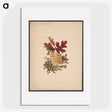 1-29_Christmas_picture