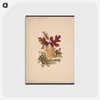 1-29_Christmas_postcard