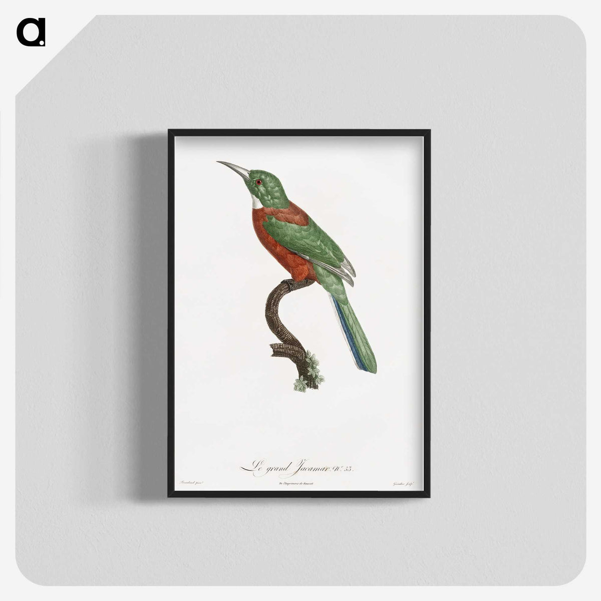 1-29_Des-Oiseaux-de-Paradis_blk-crop