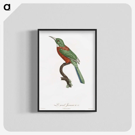 1-29_Des-Oiseaux-de-Paradis_blk-crop