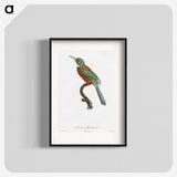 1-29_Des-Oiseaux-de-Paradis_blk