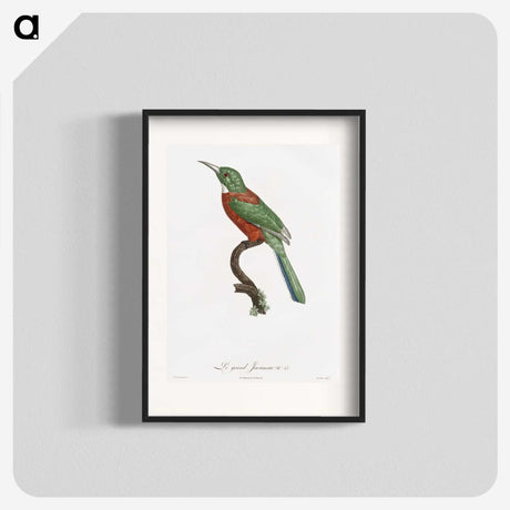 1-29_Des-Oiseaux-de-Paradis_blk