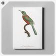 1-29_Des-Oiseaux-de-Paradis_canvas