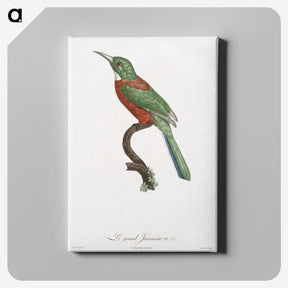 1-29_Des-Oiseaux-de-Paradis_canvas