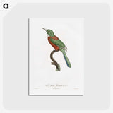 1-29_Des-Oiseaux-de-Paradis_hagaki