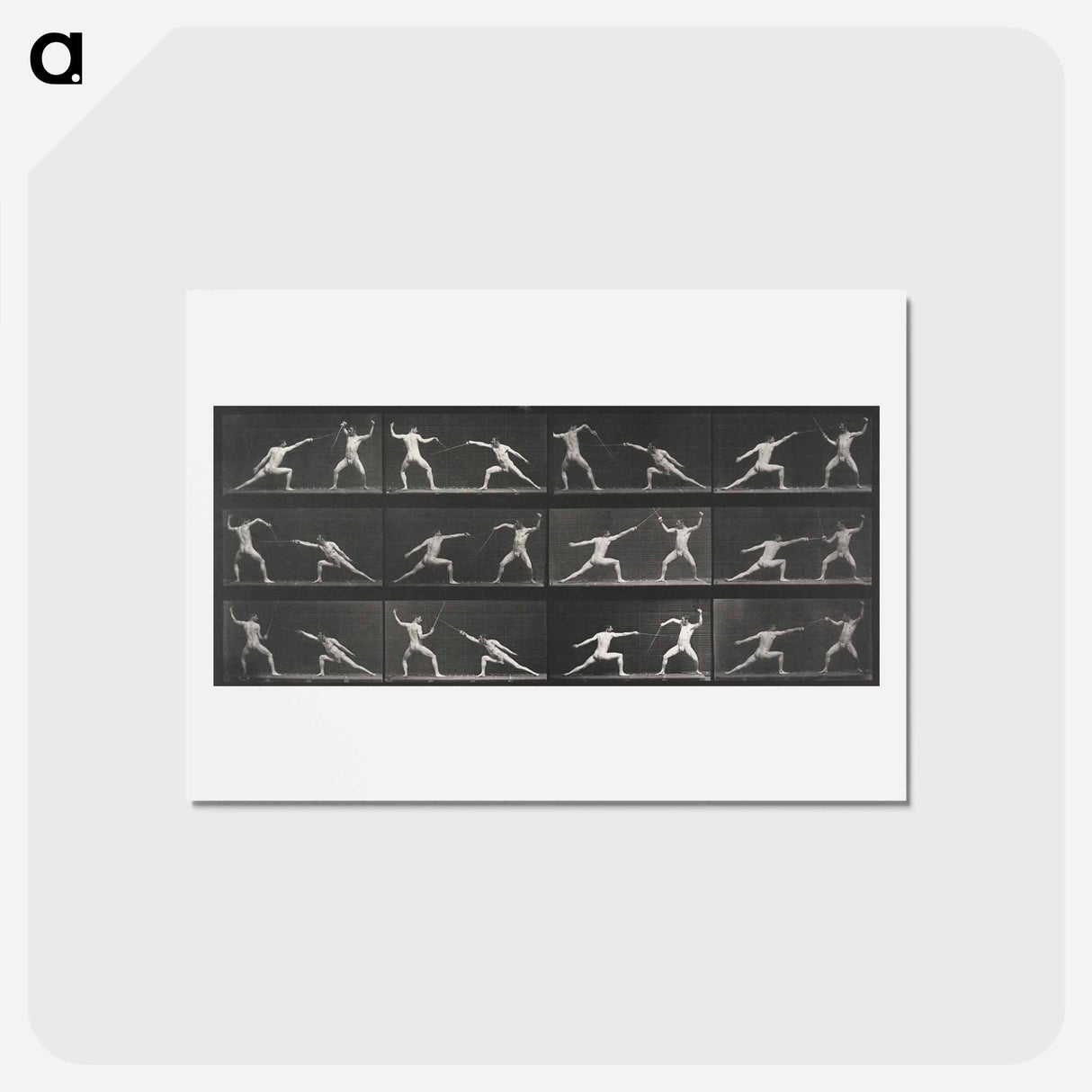 アートポストカード-Fencing
 - エドワード マイブリッジ Postcard.