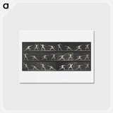 アートポストカード-Fencing
 - エドワード マイブリッジ Postcard.