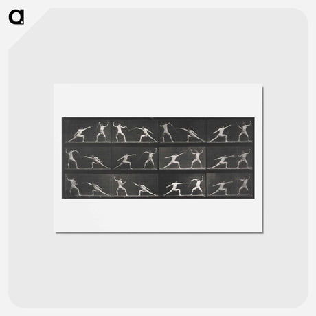 アートポストカード-Fencing
 - エドワード マイブリッジ Postcard.