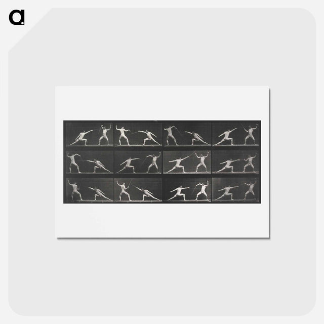 アートポストカード-Fencing
 - エドワード マイブリッジ Postcard.