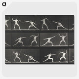 1-29_Eadweard-Muybridge_picture-crop