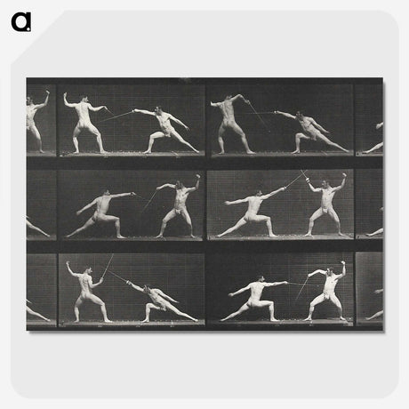 1-29_Eadweard-Muybridge_picture-crop