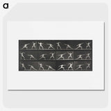 1-29_Eadweard-Muybridge_picture