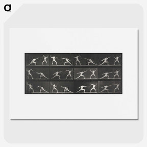 1-29_Eadweard-Muybridge_picture