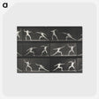 1-29_Eadweard-Muybridge_postcard