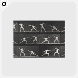 アートポストカード-Fencing
 - エドワード マイブリッジ Postcard.