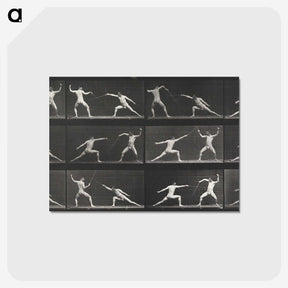 1-29_Eadweard-Muybridge_postcard