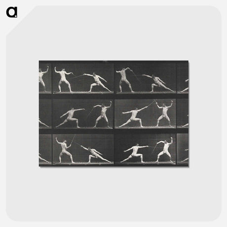 アートポストカード-Fencing
 - エドワード マイブリッジ Postcard.