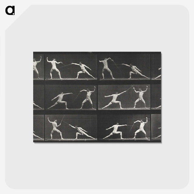 1-29_Eadweard-Muybridge_postcard
